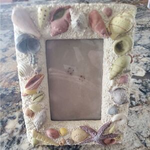 Colorful 3D Sea Shell Frame
